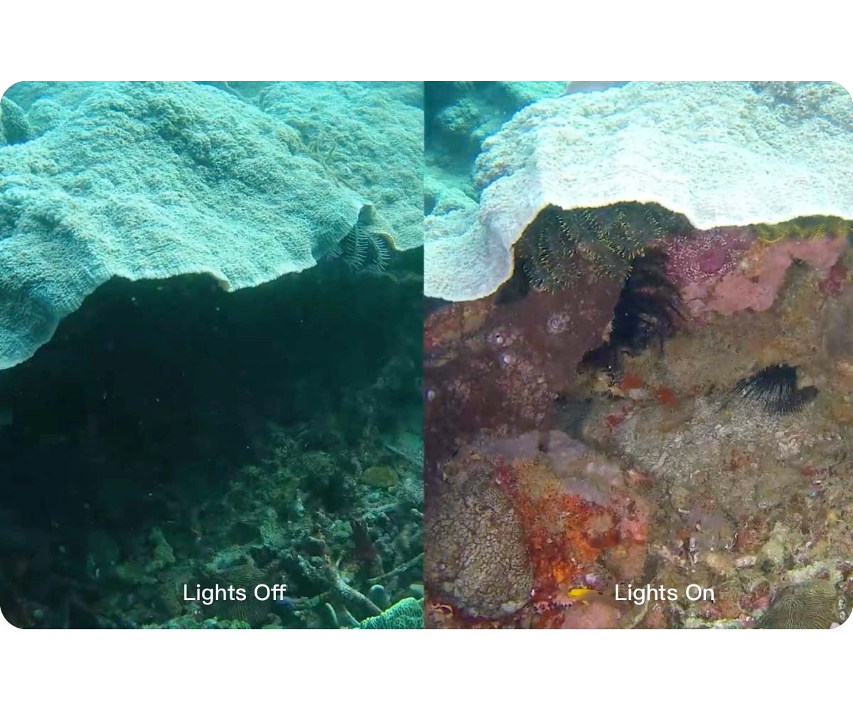 5000 υπερφωτεινά Lumen LED