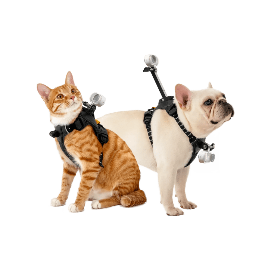 Insta360 Pet Harness Mount small