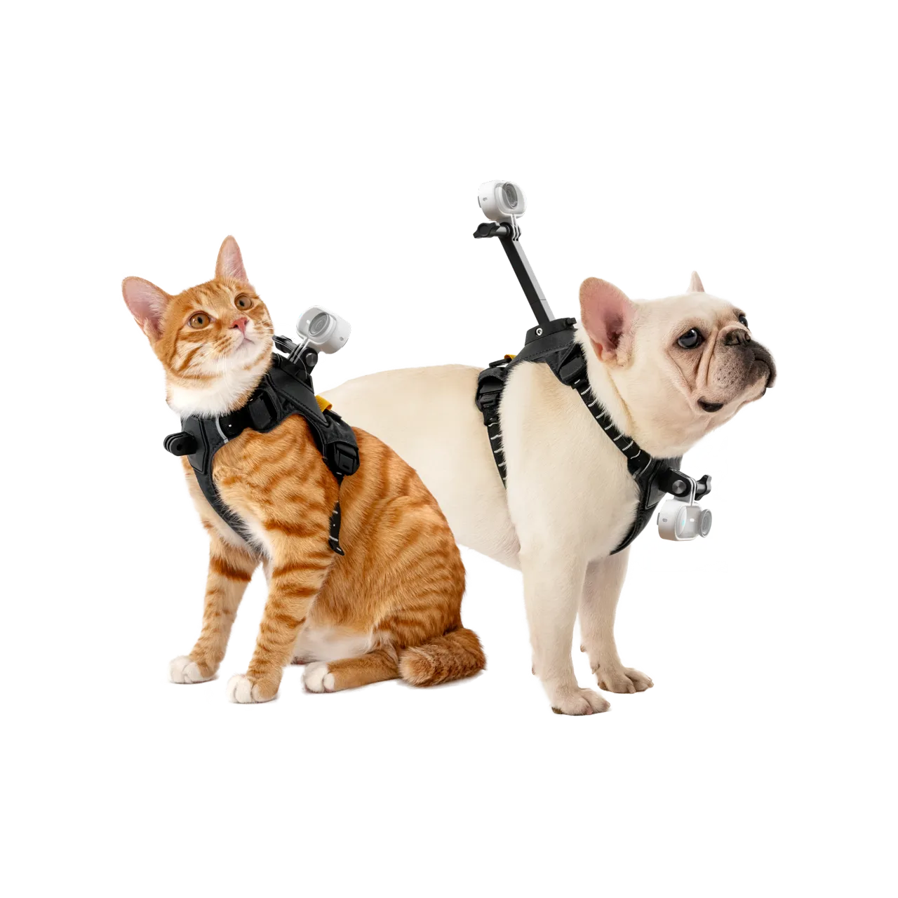 Insta360 Pet Harness Mount Insta360 Pet Harness Mount small